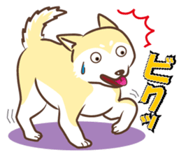 Only for a shiba-inu. sticker #2994499