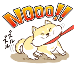 Only for a shiba-inu. sticker #2994500