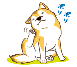 Only for a shiba-inu. sticker #2994503