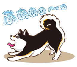 Only for a shiba-inu. sticker #2994504