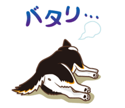 Only for a shiba-inu. sticker #2994505