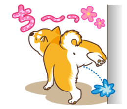 Only for a shiba-inu. sticker #2994508