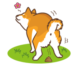 Only for a shiba-inu. sticker #2994510