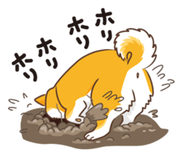 Only for a shiba-inu. sticker #2994511
