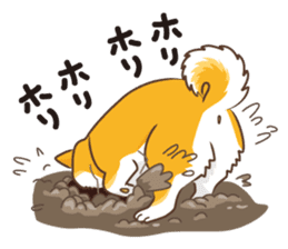 Only for a shiba-inu. sticker #2994511