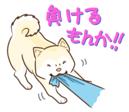 Only for a shiba-inu. sticker #2994513