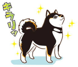 Only for a shiba-inu. sticker #2994516