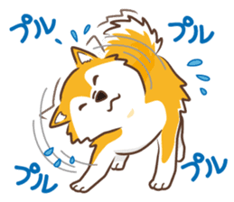 Only for a shiba-inu. sticker #2994517