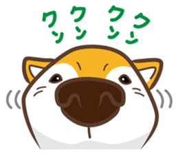 Only for a shiba-inu. sticker #2994518