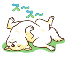 Only for a shiba-inu. sticker #2994521