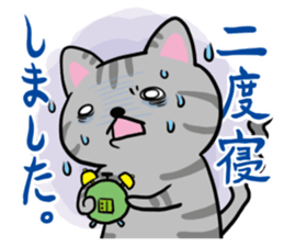 Cute cat & Friends sticker #2995187