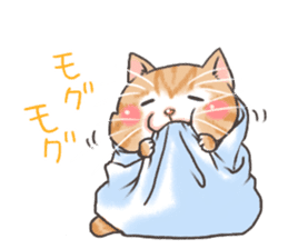 Cat in towel sticker #2996022