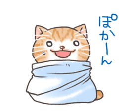 Cat in towel sticker #2996025