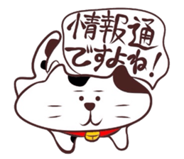 Flatter! tortoiseshell cat! sticker #2996398