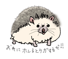 Hey,you guys sticker #2998395