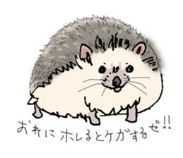 Hey,you guys sticker #2998395