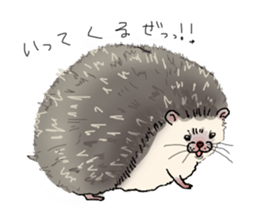 Hey,you guys sticker #2998397