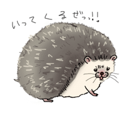 Hey,you guys sticker #2998397