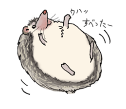 Hey,you guys sticker #2998398