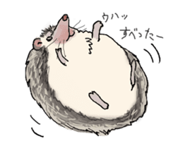 Hey,you guys sticker #2998398