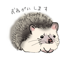 Hey,you guys sticker #2998399