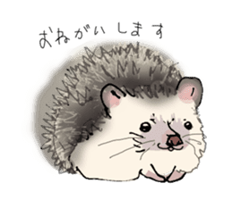 Hey,you guys sticker #2998399