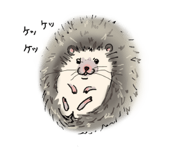 Hey,you guys sticker #2998400