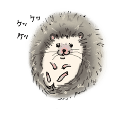 Hey,you guys sticker #2998400