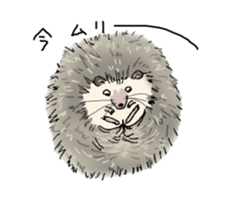 Hey,you guys sticker #2998401