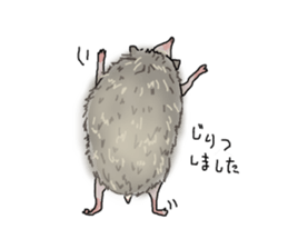 Hey,you guys sticker #2998402