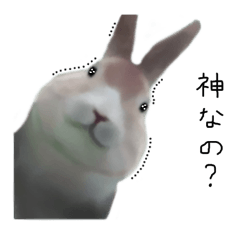 Unwind rabbit weather