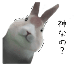 Unwind rabbit weather sticker #2998771