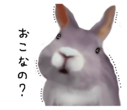 Unwind rabbit weather sticker #2998772