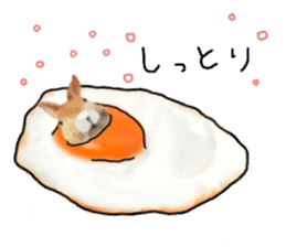 Unwind rabbit weather sticker #2998774