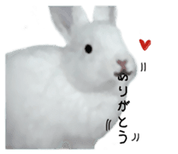 Unwind rabbit weather sticker #2998775