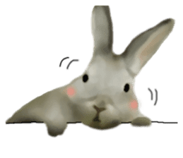 Unwind rabbit weather sticker #2998777