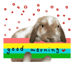 Unwind rabbit weather sticker #2998779