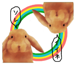 Unwind rabbit weather sticker #2998781