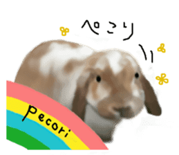 Unwind rabbit weather sticker #2998782