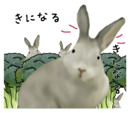 Unwind rabbit weather sticker #2998784