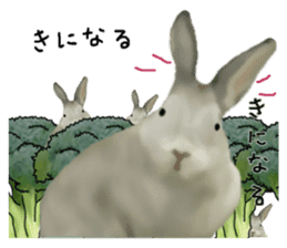 Unwind rabbit weather sticker #2998784