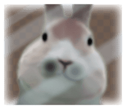 Unwind rabbit weather sticker #2998785