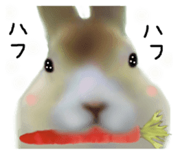 Unwind rabbit weather sticker #2998786