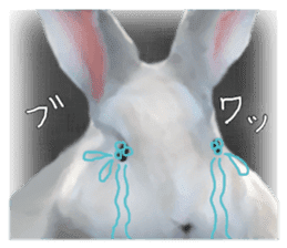 Unwind rabbit weather sticker #2998787