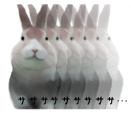 Unwind rabbit weather sticker #2998790