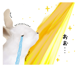 Unwind rabbit weather sticker #2998794