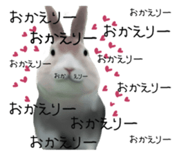 Unwind rabbit weather sticker #2998795