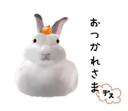 Unwind rabbit weather sticker #2998796