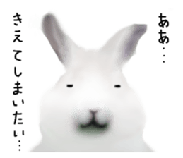 Unwind rabbit weather sticker #2998797