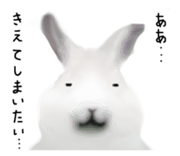 Unwind rabbit weather sticker #2998797